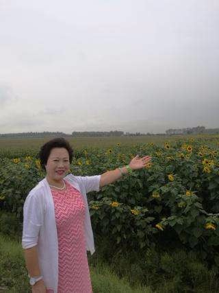 向天歌